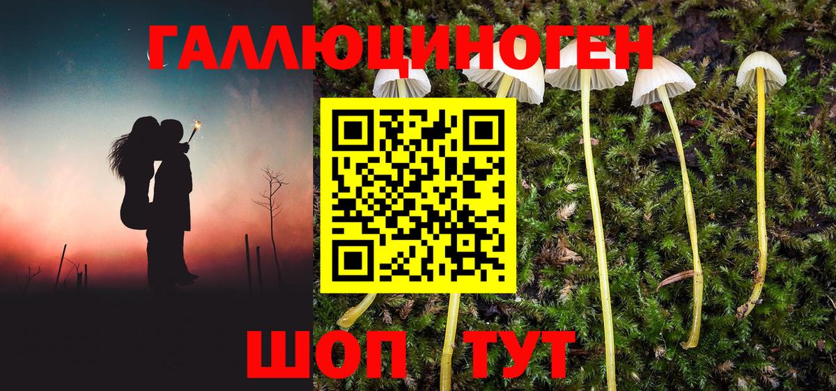 Галлюциногенные грибы мухоморы  Вход с VPN  Химки  Псилоцибиновые грибы прущие грибы 